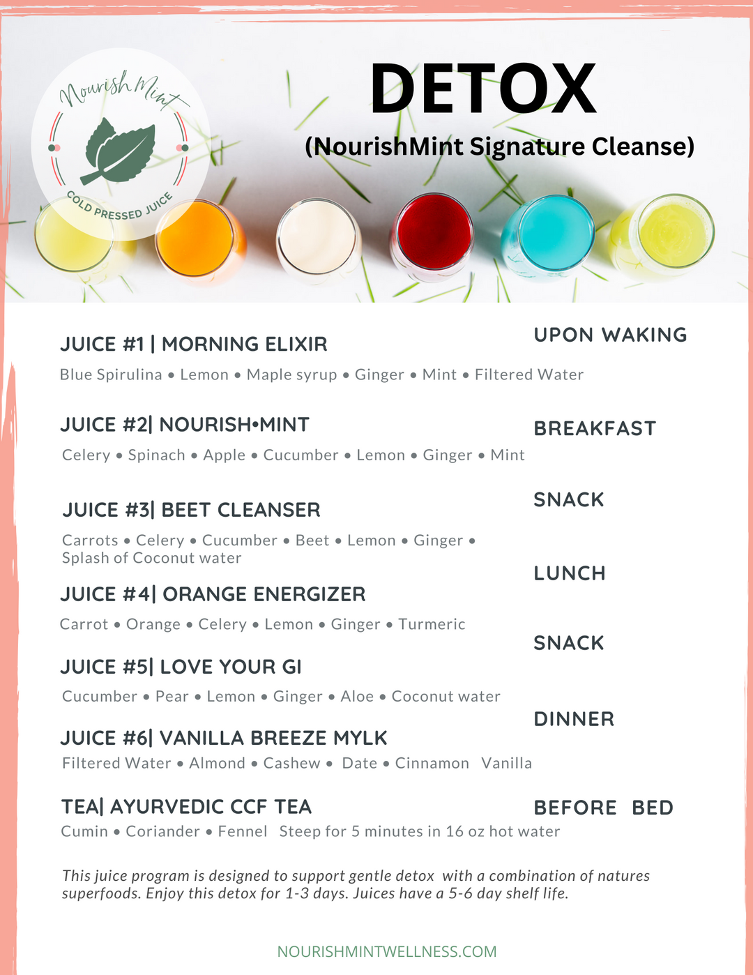 Detox Cleanse (NourishMint Signature)